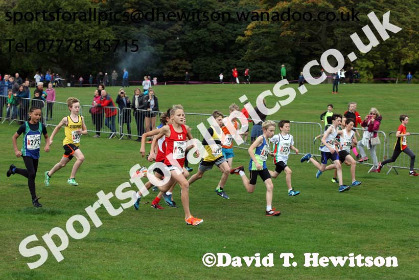 Boys under-13s Northern Cross Country Relays, Graves Park, Sheffield. Photo: David T. Hewitson/Sports for All Pics